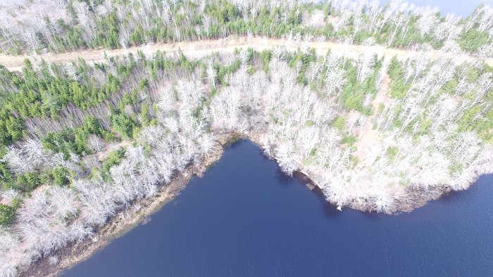 WentworthHalbinsel (52)